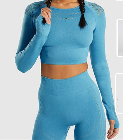2 Piece Quick Dry Long Sleeve Sports Yoga Set