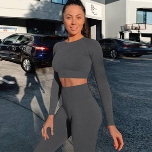 2 Piece Gym Yoga Set Running Suit