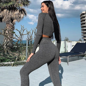 2 Piece Gym Yoga Set Running Suit
