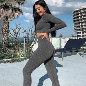 2 Piece Gym Yoga Set Running Suit