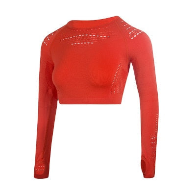 2 Piece Quick Dry Long Sleeve Sports Yoga Set